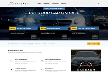 CarCasm Auction